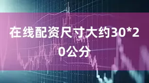 在线配资尺寸大约30*20公分