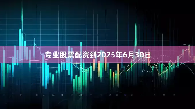 专业股票配资到2025年6月30日