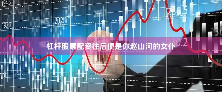 杠杆股票配资往后便是你赵山河的女仆